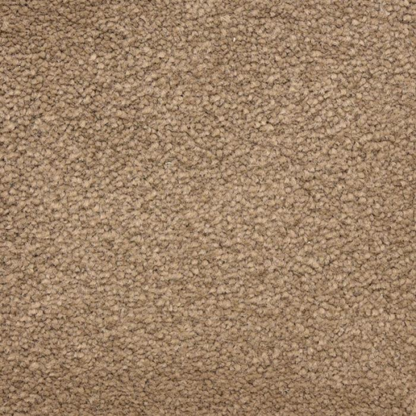 Masland Carpets Ravishing Handsome Masland