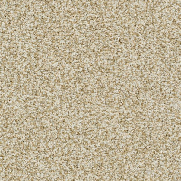 Masland Carpets St Augustine Boundless Masland