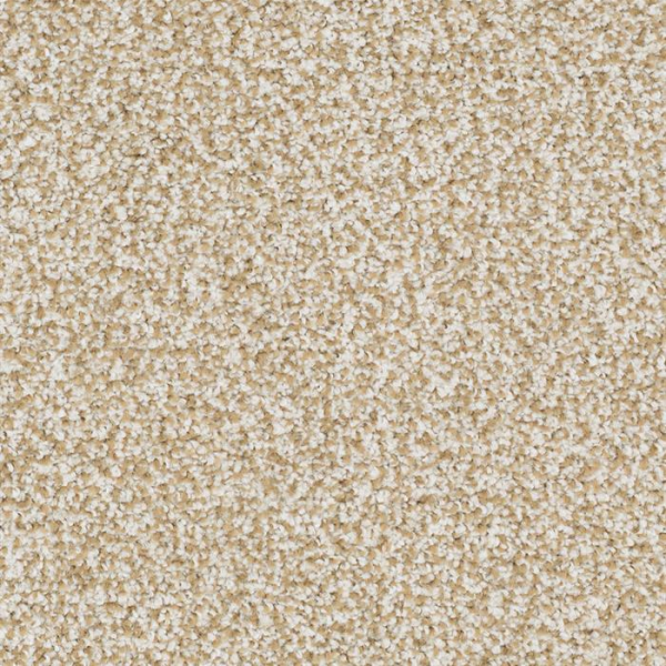 Masland Carpets Sunset Key Boundless Masland