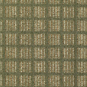 Northwest Gridlock Culdesac