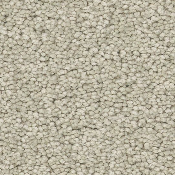 Tuftex Elegant Beauty Aloe Wash SHAW