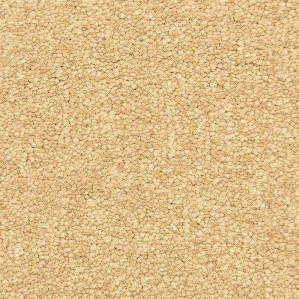 Masland Carpets Vero Beach Burma Masland