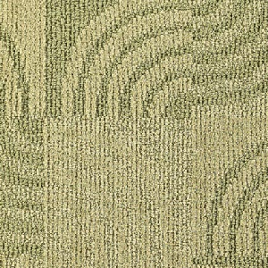 Northwest Quirk Fickle