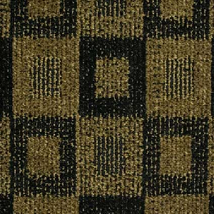 Northwest Optics Dark Swan