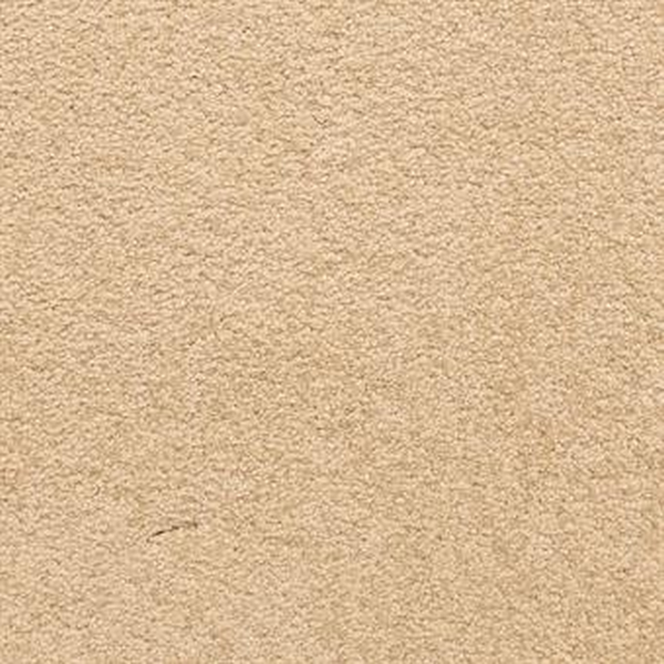 Masland Carpets Knockout Ripe Masland