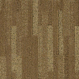 Northwest Strata Degree