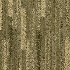 Northwest Strata Status