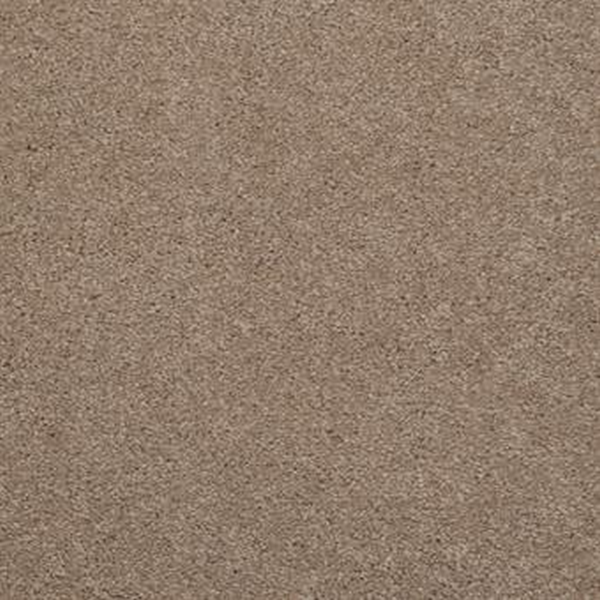 Masland Carpets Embrace Bandicoot Masland