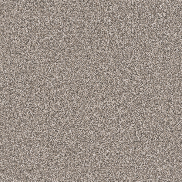 Dreamweaver Carpet Windy City II Sageview DREAMWEAVER