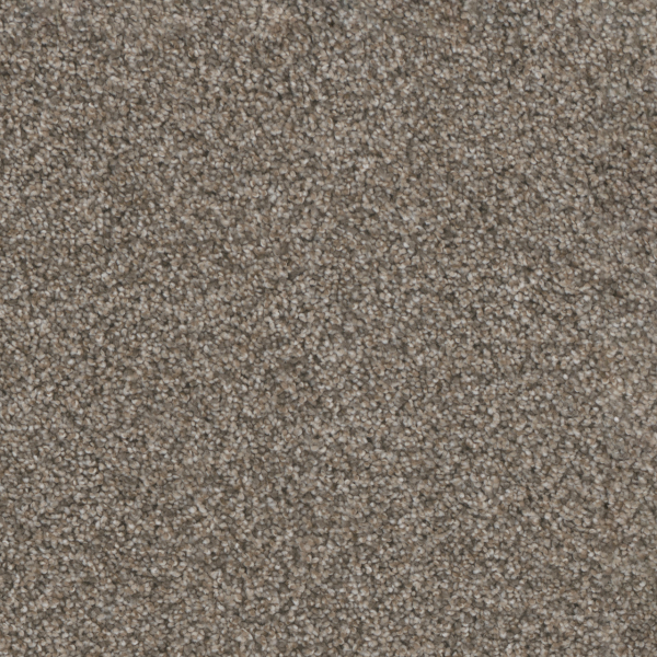 Dreamweaver Carpet Trendsetter II Sageview DREAMWEAVER