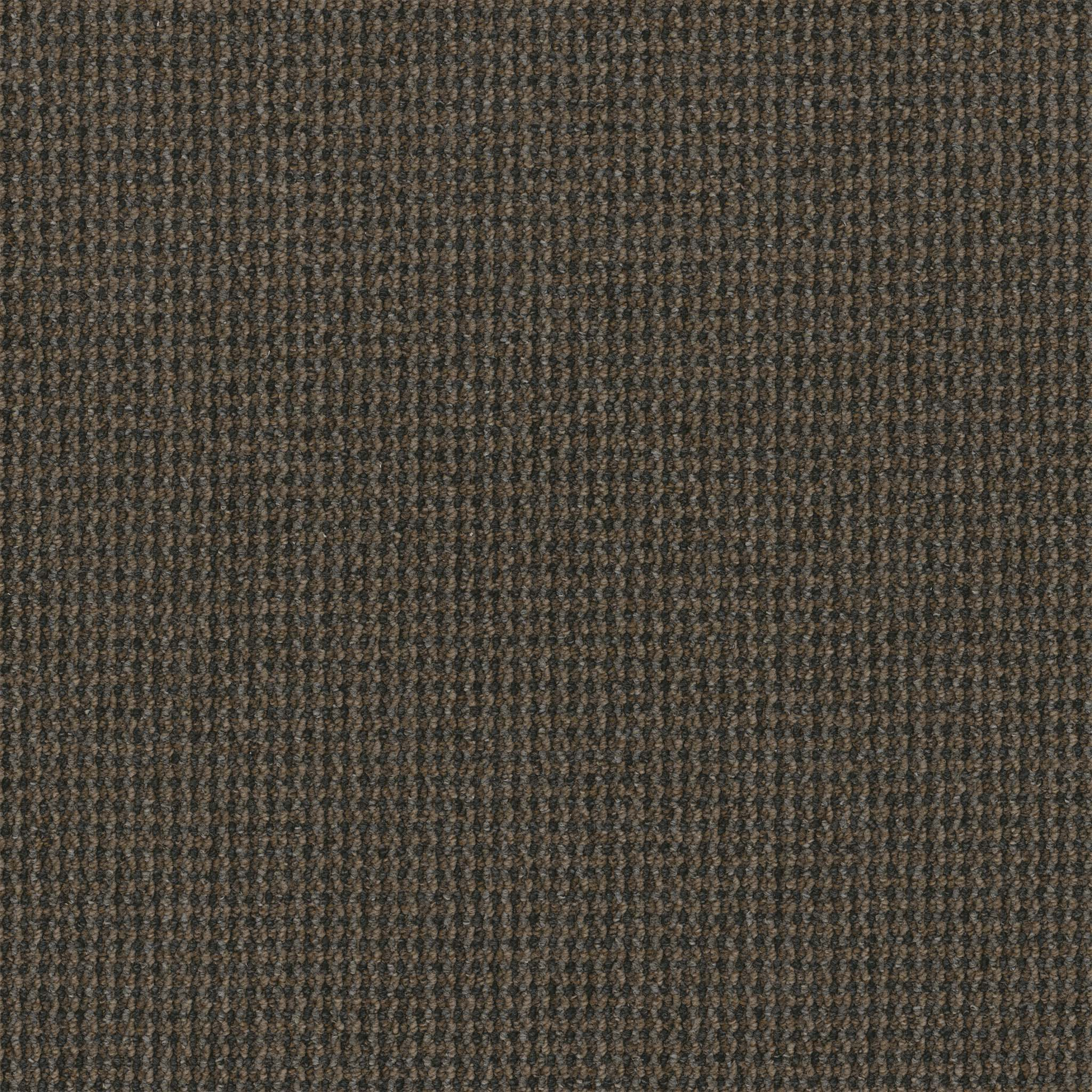 Pentz Commercial Backroads Sharp Curves ENGINEERED FLOORS