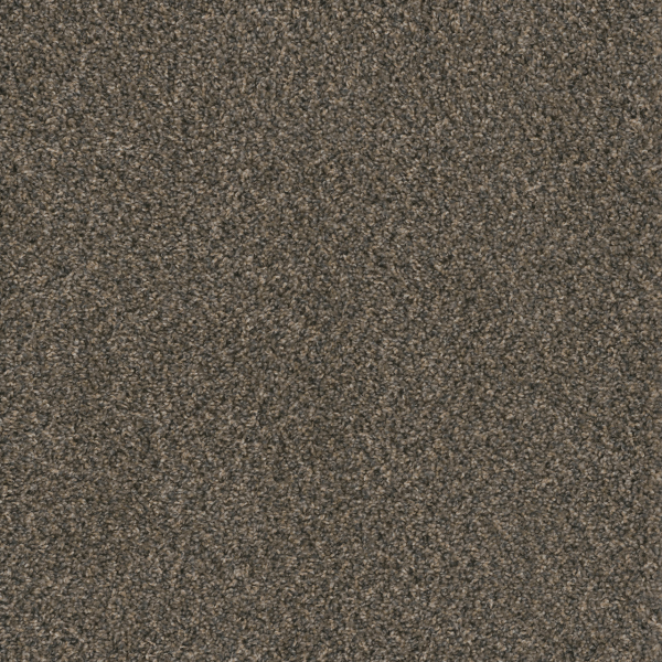 Dreamweaver Carpet Hot Pursuit Belle Grove DREAMWEAVER