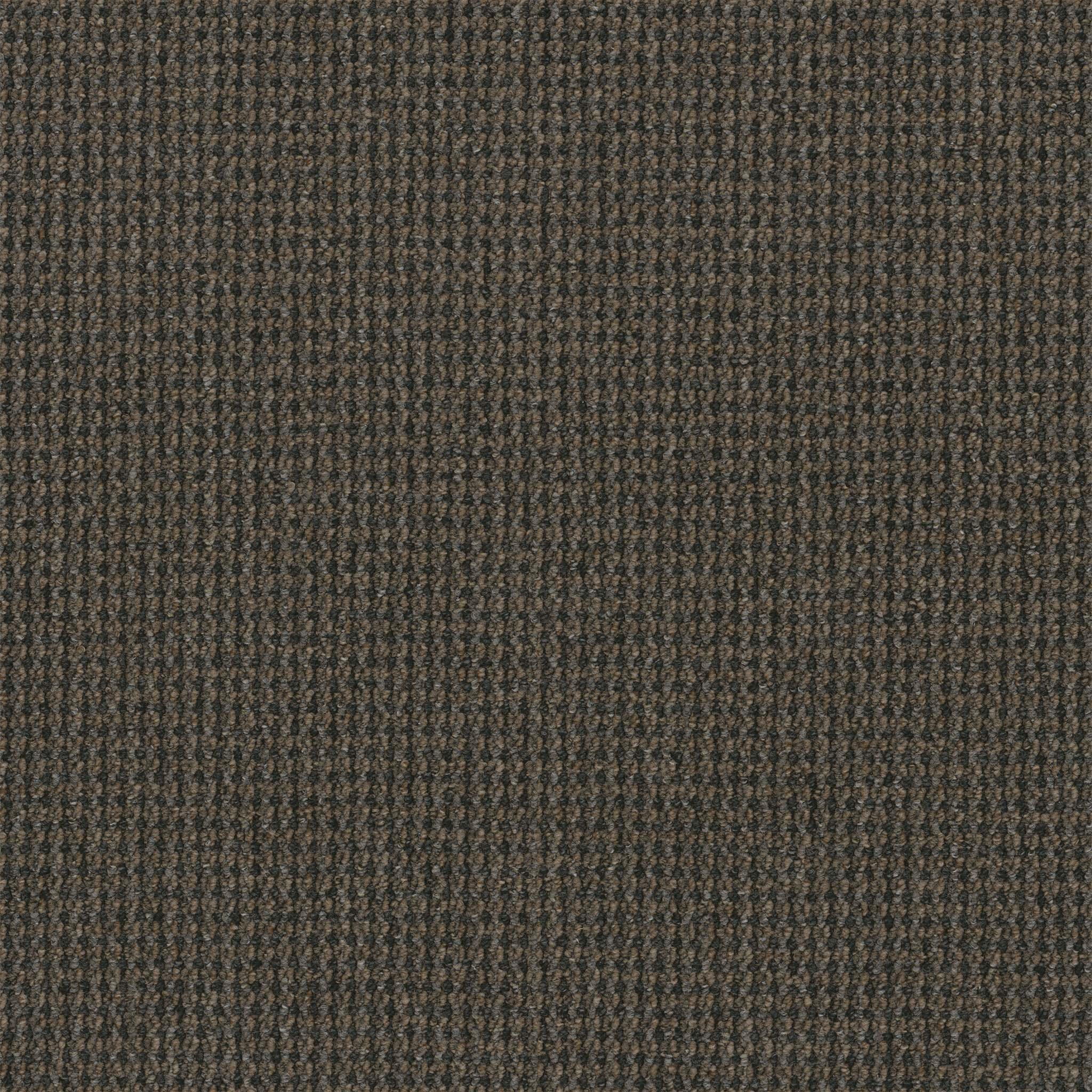 Pentz Commercial Backroads Adventure ENGINEERED FLOORS