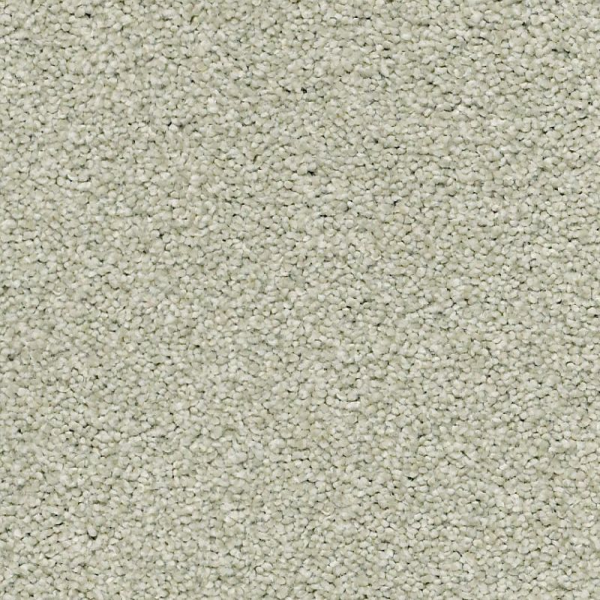 Shaw Floors Your Comfort II Willow Tree SHAW