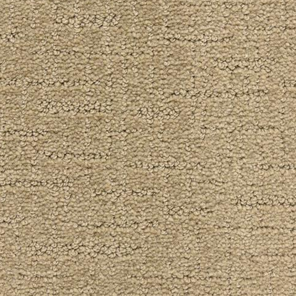 Dixie Home My Hero Champion