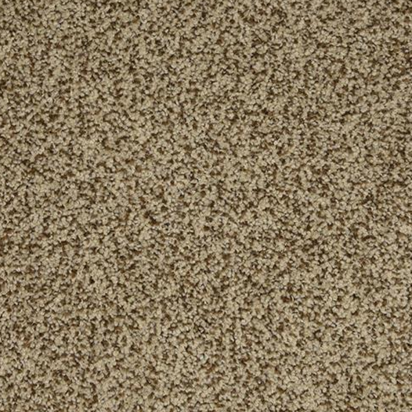 Dixie Home New Age Champion