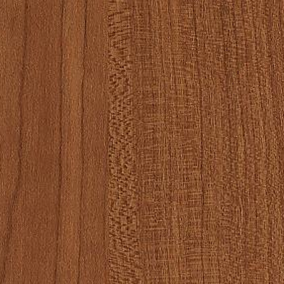 Shaw Luxury Vinyl Bosk Pro 4 Inch Plank Brazen Red SHAW
