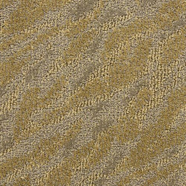 Masland Carpets Gamma Ionic Masland