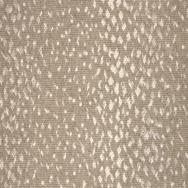 Stanton Carpet Pearlina Fossil Stanton