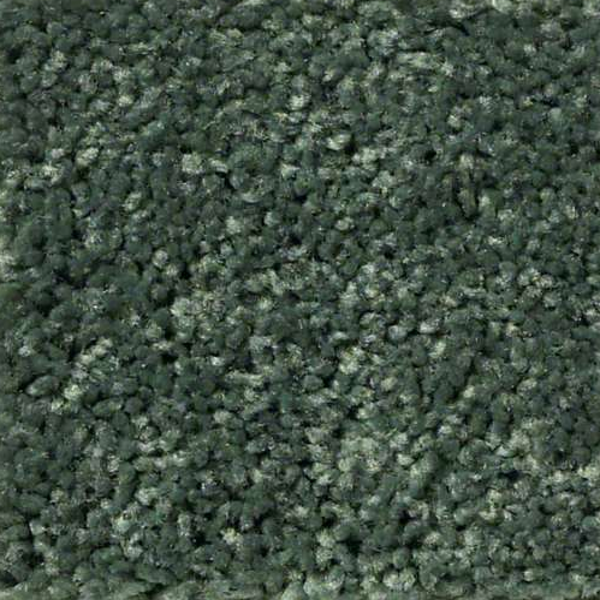 Shaw Floors Fielders Choice 12 Going Green SHAW
