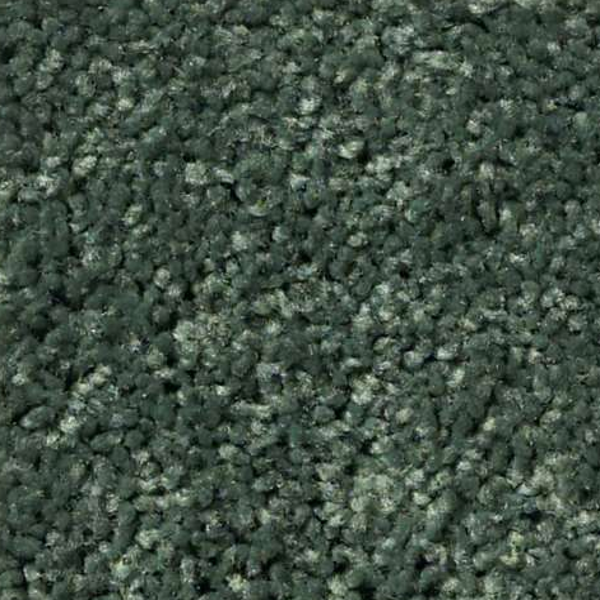 Shaw Floors All Star Weekend III 12' Going Green SHAW