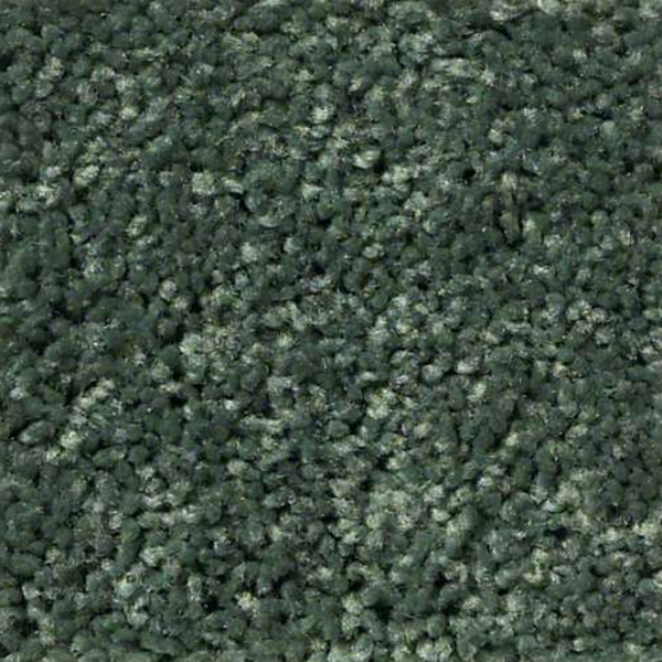 Shaw Floors Full Court 12 Gonig Green SHAW