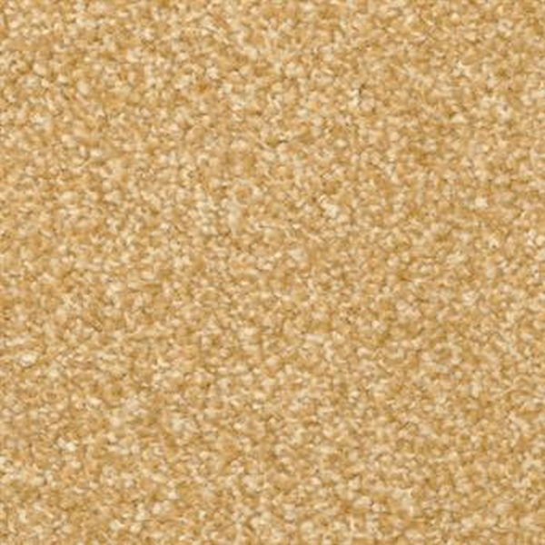 Masland Carpets Beacon Hill Somerset Masland