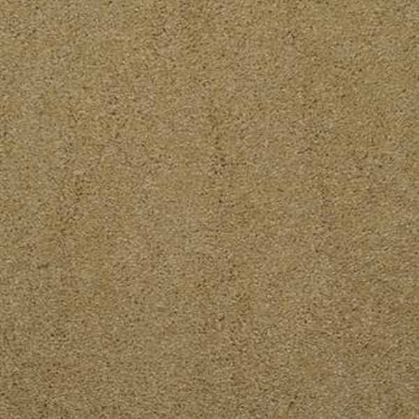 Masland Carpets Embrace Bronze Tone Masland