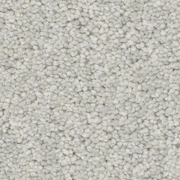 Tuftex Elegant Beauty Icy Morn SHAW