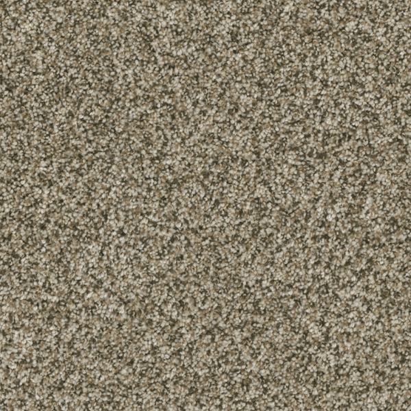 Dreamweaver Carpet Brazen II Sedona DREAMWEAVER