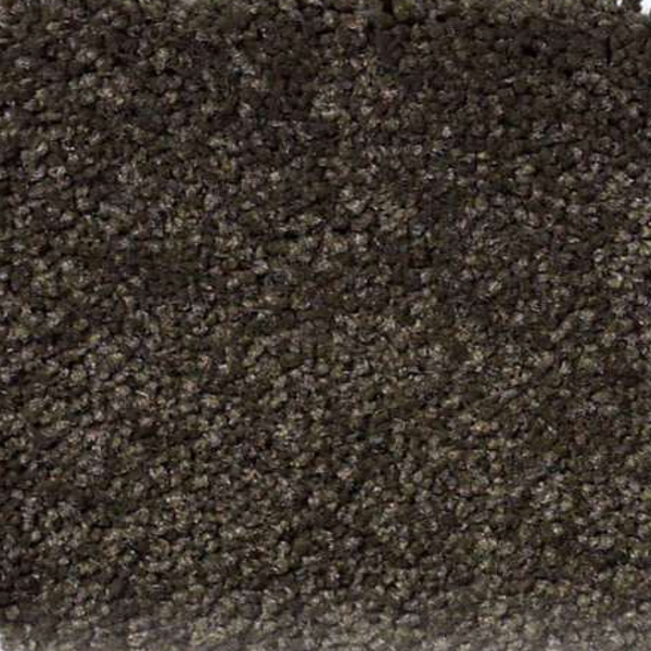 Shaw Floors Magic At Last III 15' Sprout SHAW