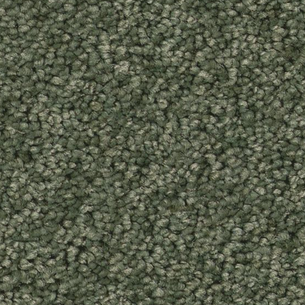 Tuftex Enduring Charm Bereyl SHAW