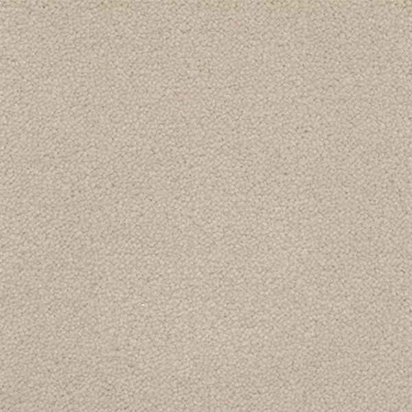 Masland Carpets Panache Oyster Masland