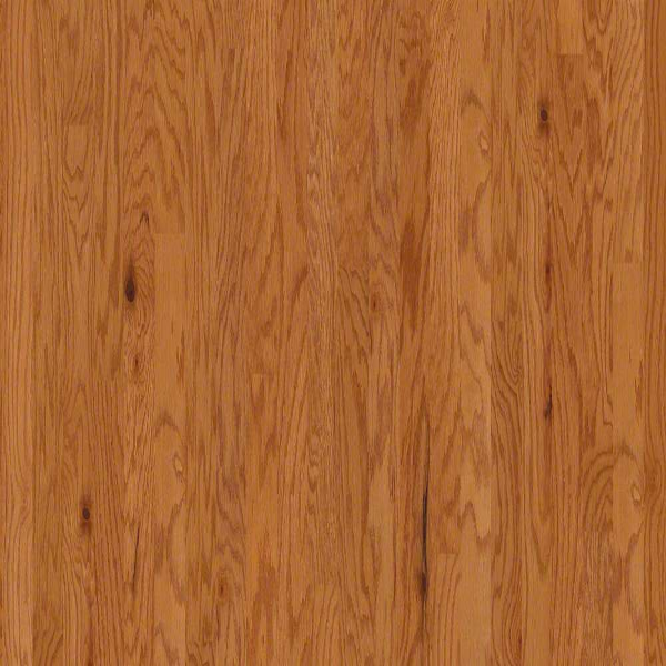 Shaw Hardwood Albright Oak 5 Caramel Shaw