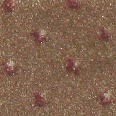 Milliken Carpets Legacy Nutmeg II