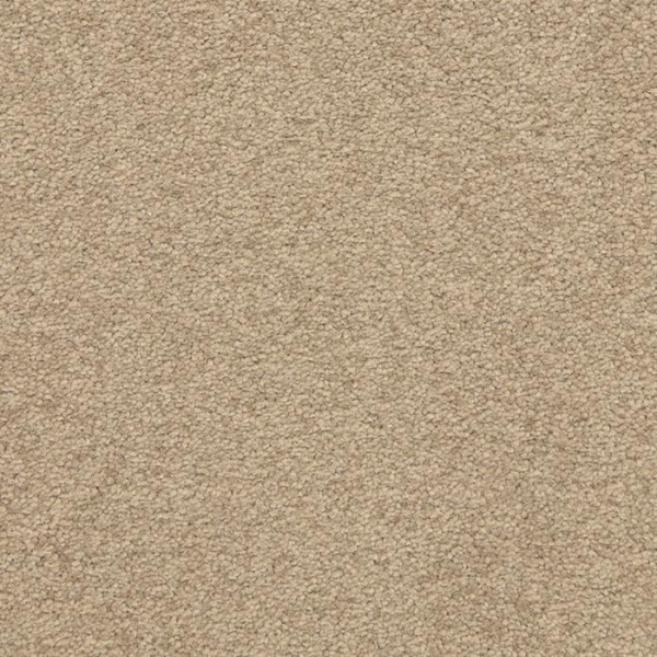 Masland Carpets Patriot Basin Masland