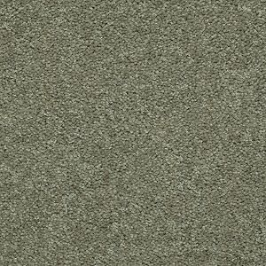 Shaw Floors Mission Statement II 12' Cactus SHAW