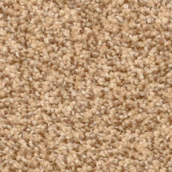 Dixie Home Cozy Monarch