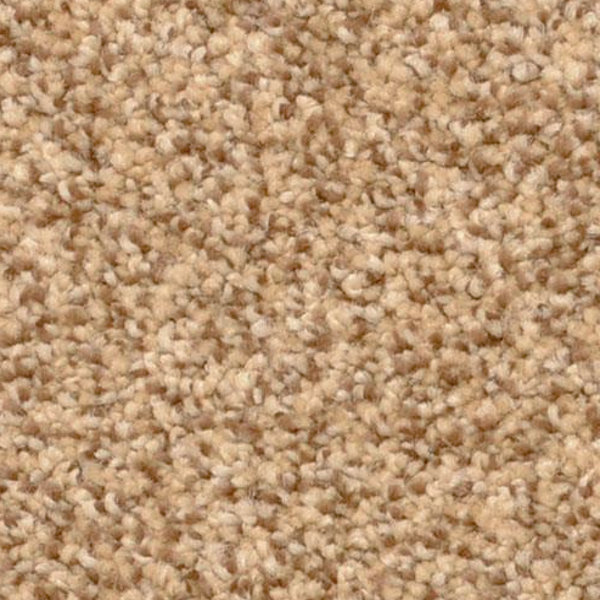 Dixie Home Delight Monarch