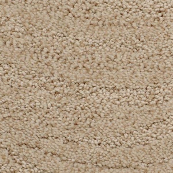 Dixie Home Taittinger Falcon