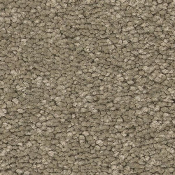 Tuftex Elegant Beauty Slate SHAW