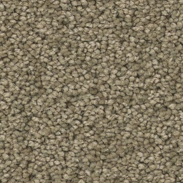 Tuftex Enduring Charm Slate SHAW