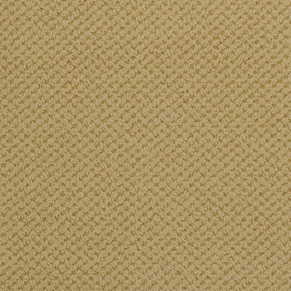 Masland Carpets Seurat Honey Masland