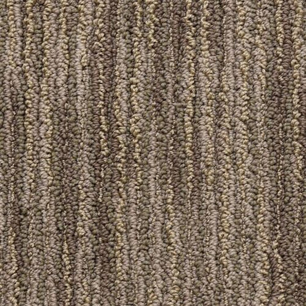 Masland Carpets Vivacity Vitality Masland