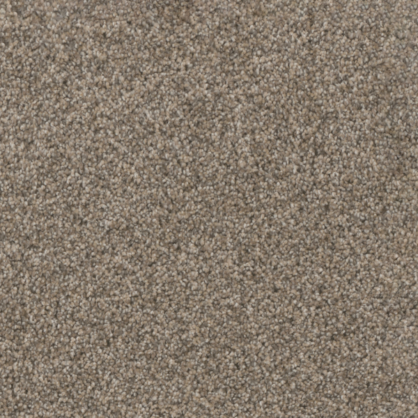 Dreamweaver Carpet Trendsetter II Oxford Stone DREAMWEAVER