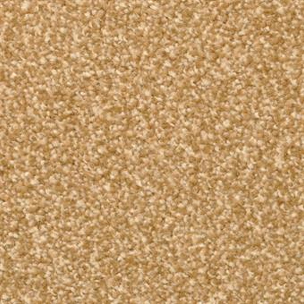 Masland Carpets Beacon Hill Tundra Masland