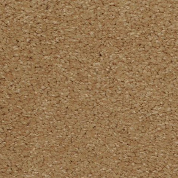 Dixie Home Soft And Silky Cambria