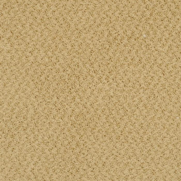 Masland Carpets New Hope Curry Masland