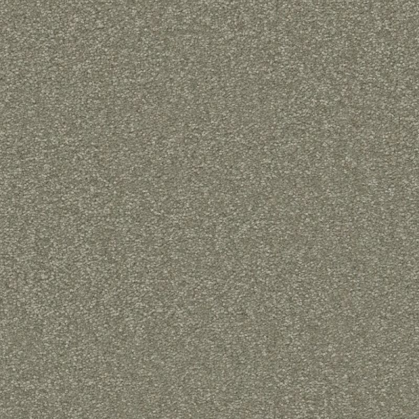 Shaw Floors Awaken Spirit II 12' Silver Sage SHAW