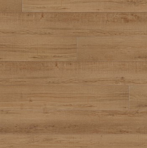 COREtec Plus COREtec Plus XL Enhanced Waddington Oak US FLOORS, LLC